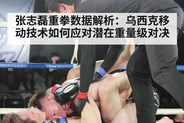 张志磊重拳数据解析:乌西克移动技术如何应对潜在重量级对决